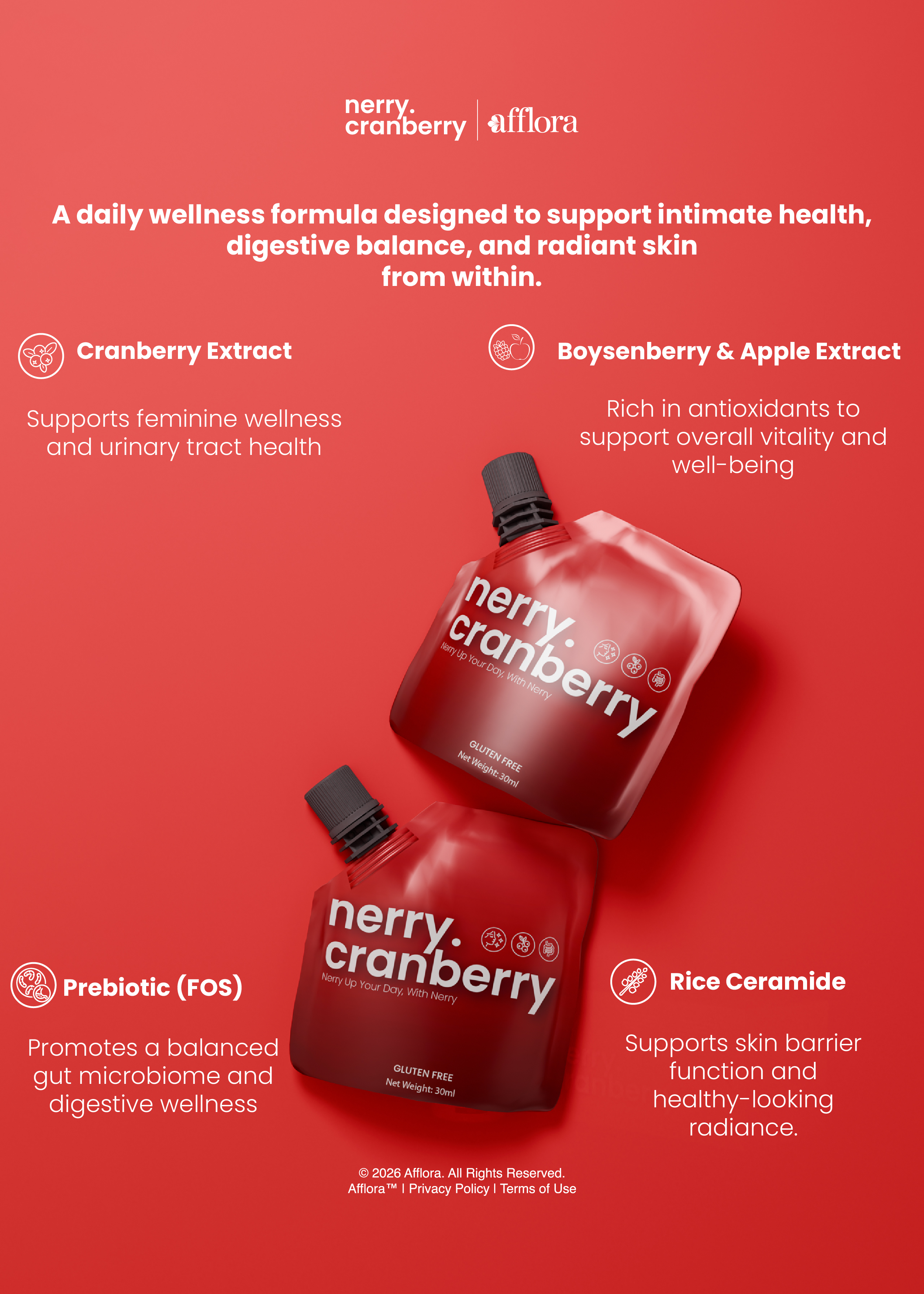 Nerry poster slide 1