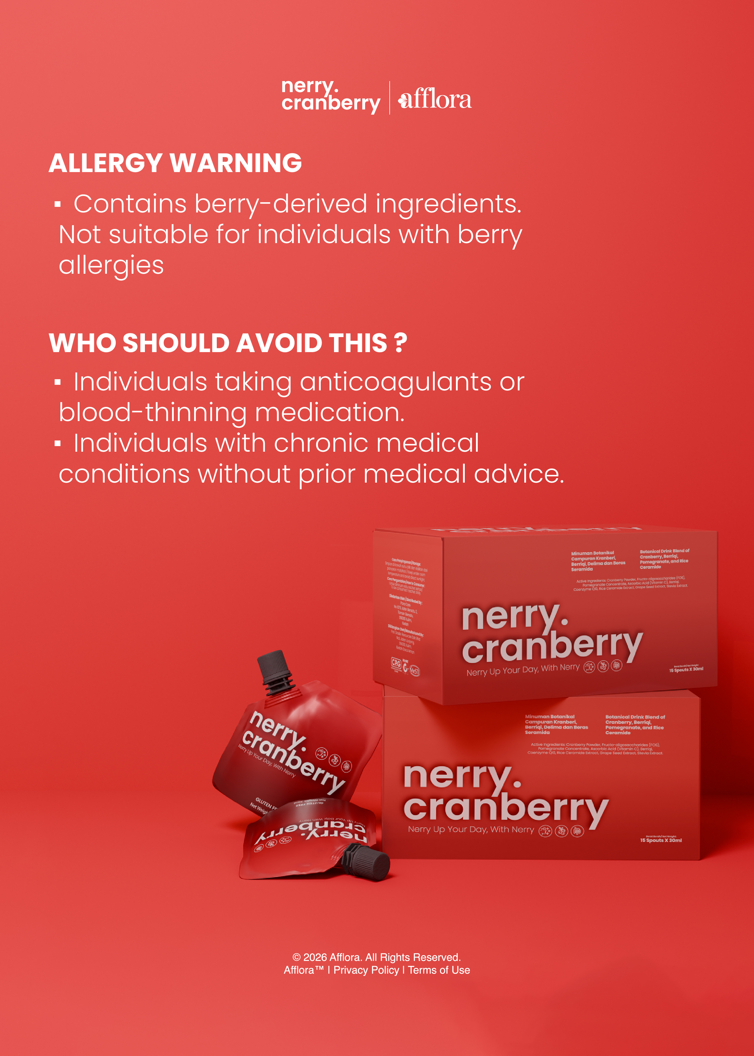 Nerry poster slide 2