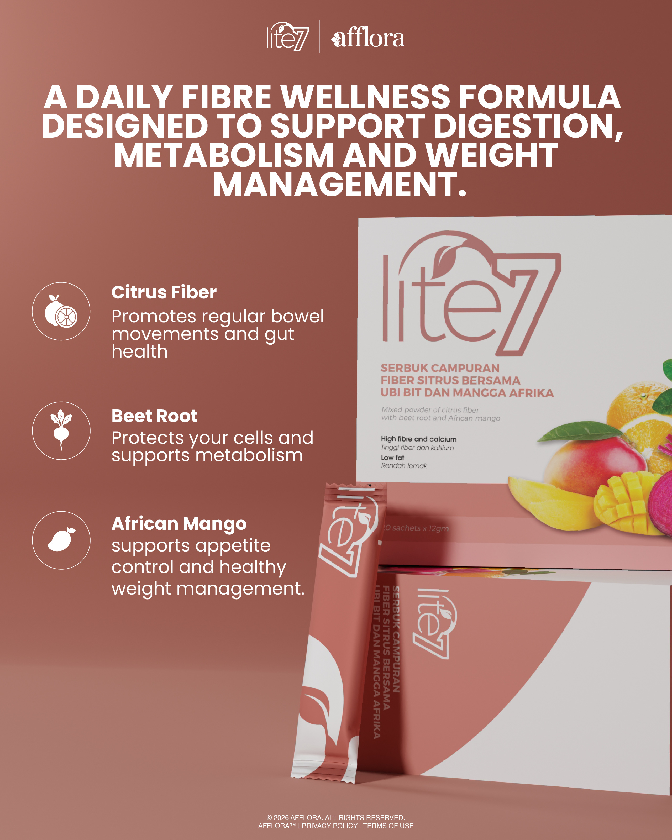 Lite 7 poster slide 1
